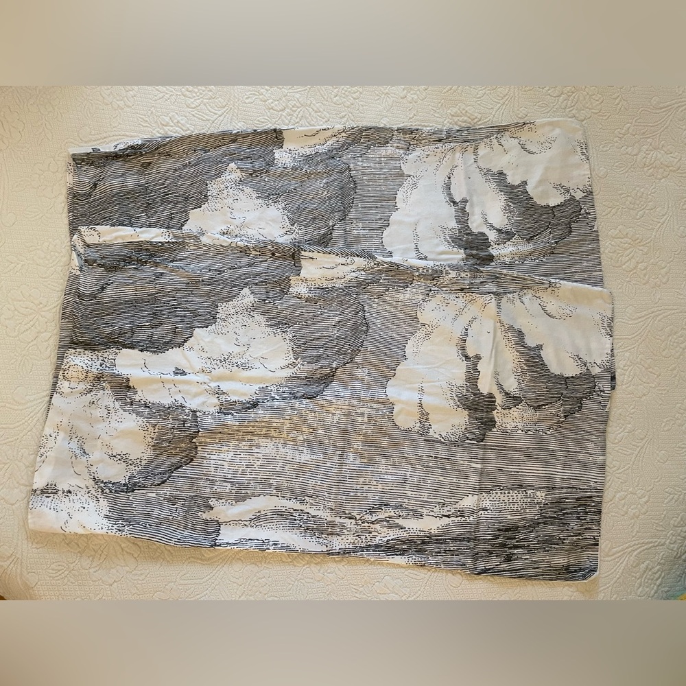 Pair West Elm Organic King Pillow Cases Etched Clouds